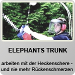 Elephants Trunk